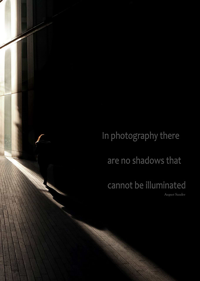 Winter Shadows