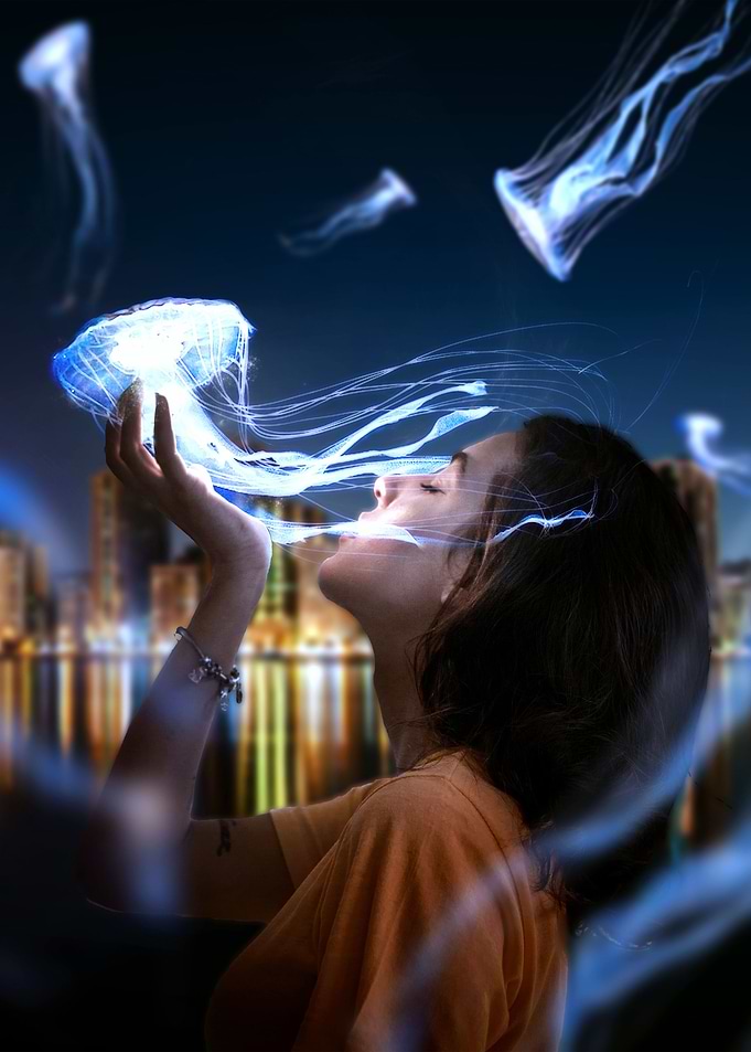 Flying Jellyfish