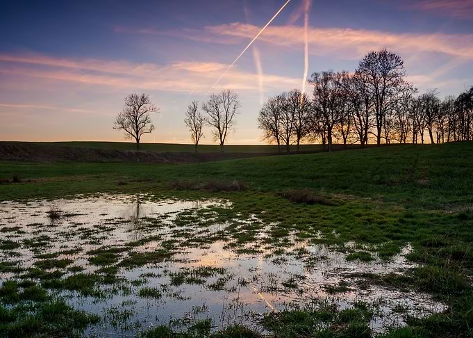 Marsh Mud Puddle Swamp Dir