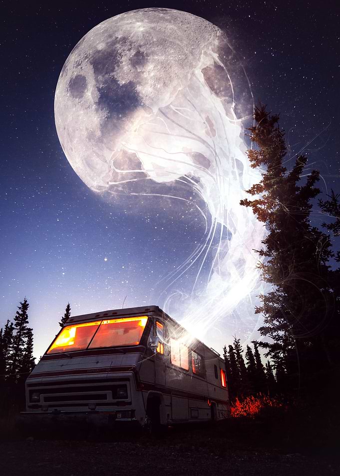 Imagination
