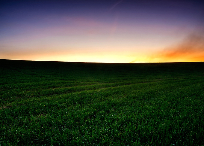 Meadow Nature Landscape Ha