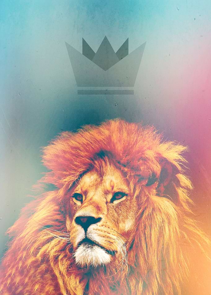 Lion King