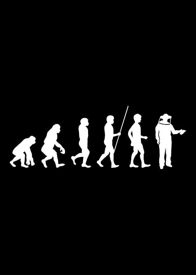 beekeeping evolution bee