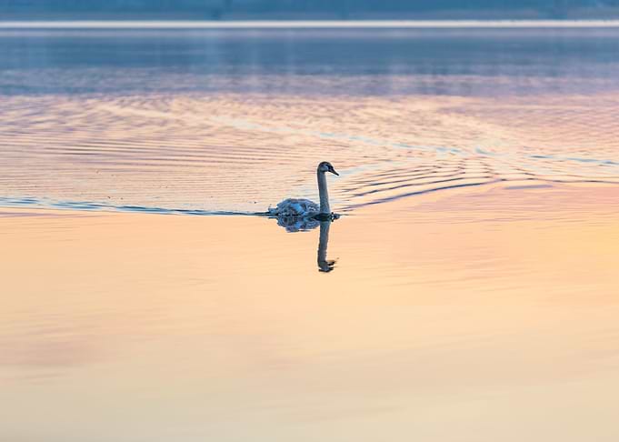 Sunrise Reflection Nature