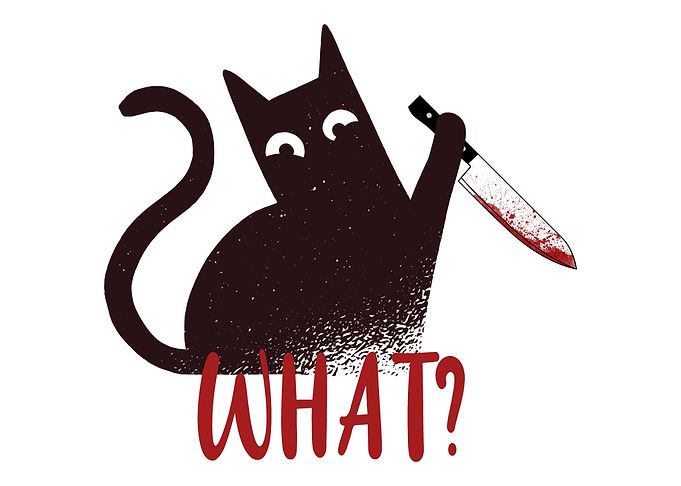Funny Cat