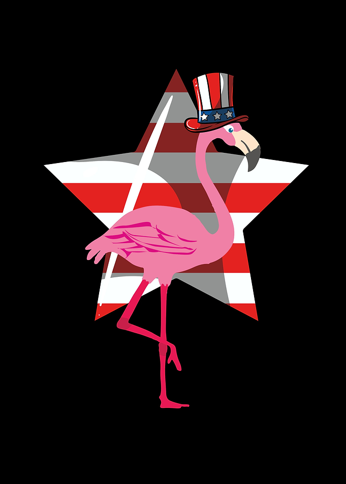Cool American Flamingo