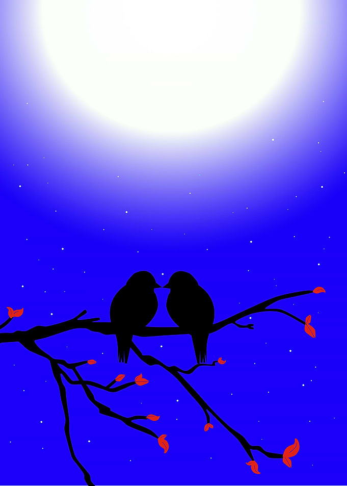 Calm at Night