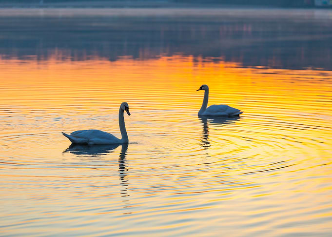 Sunrise Reflection Nature