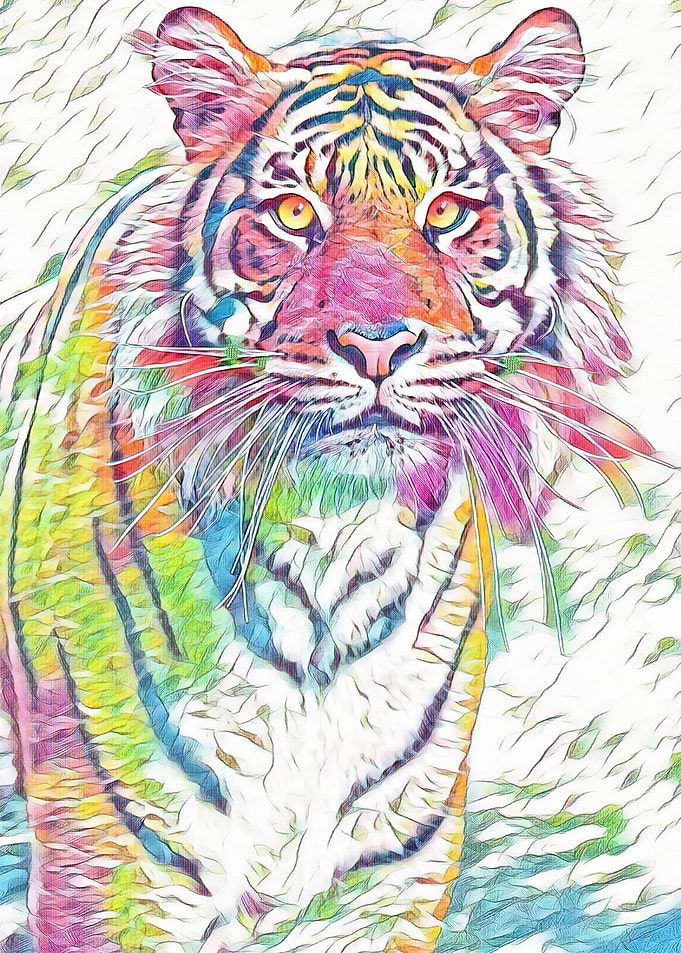 Motley Tiger
