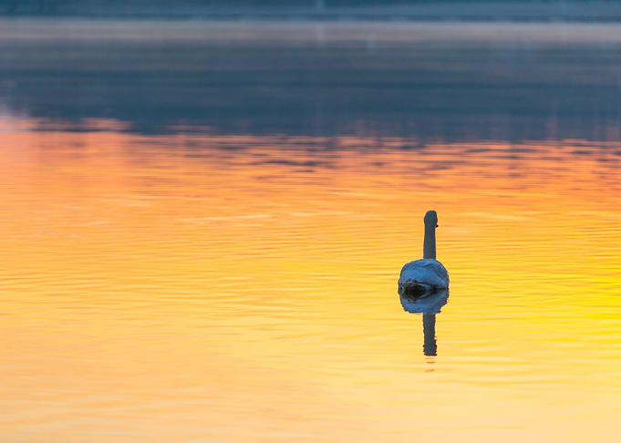 Sunrise Reflection Nature