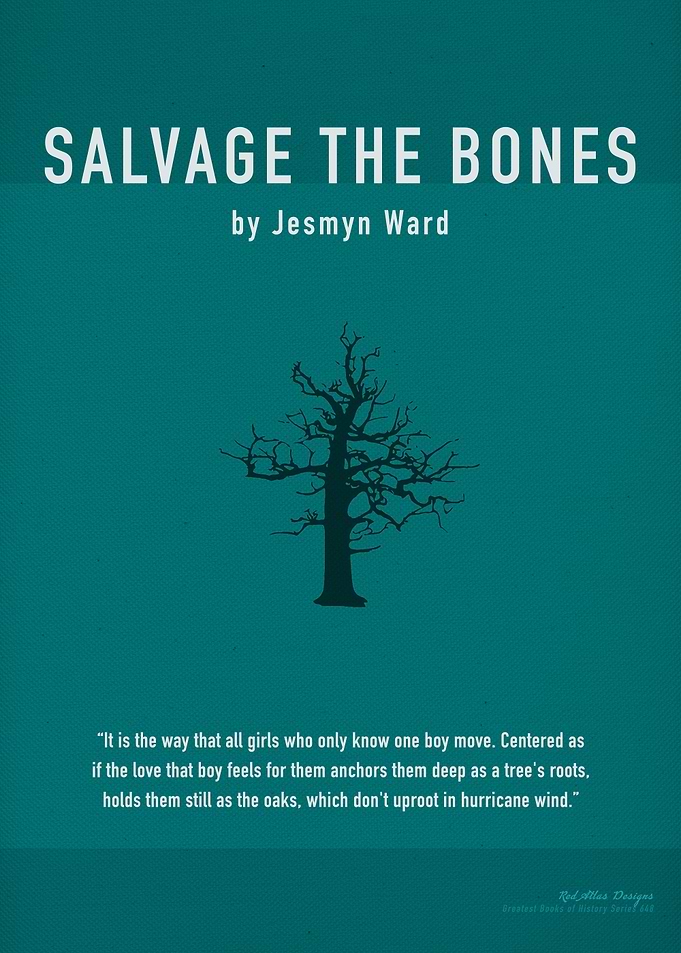 Salvage The Bones Book Art
