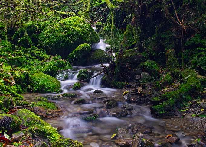 Waterfall Callery Gorge