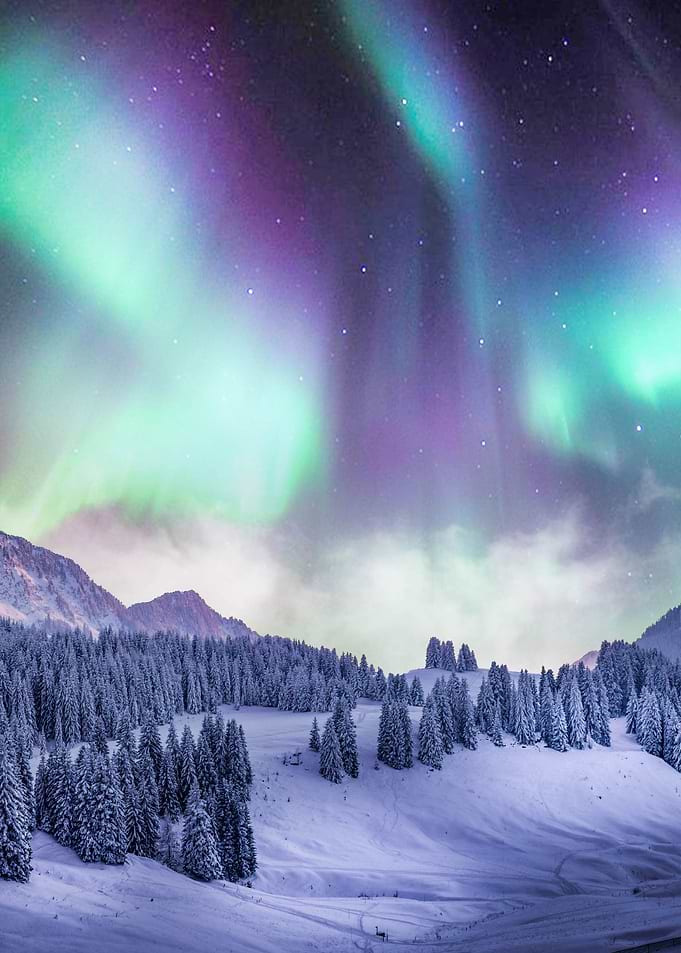 Aurora In The Winter