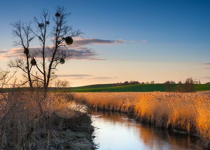 River Landscape Water Blue