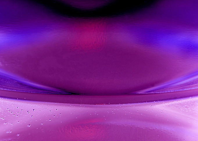 Macro fuchsia