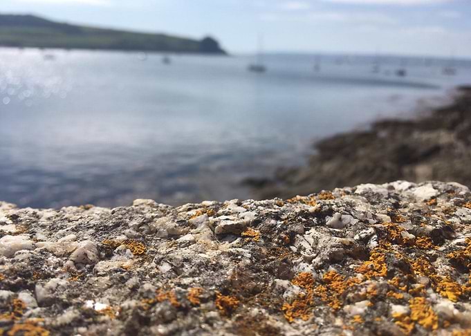 St Mawes Harbour Blur