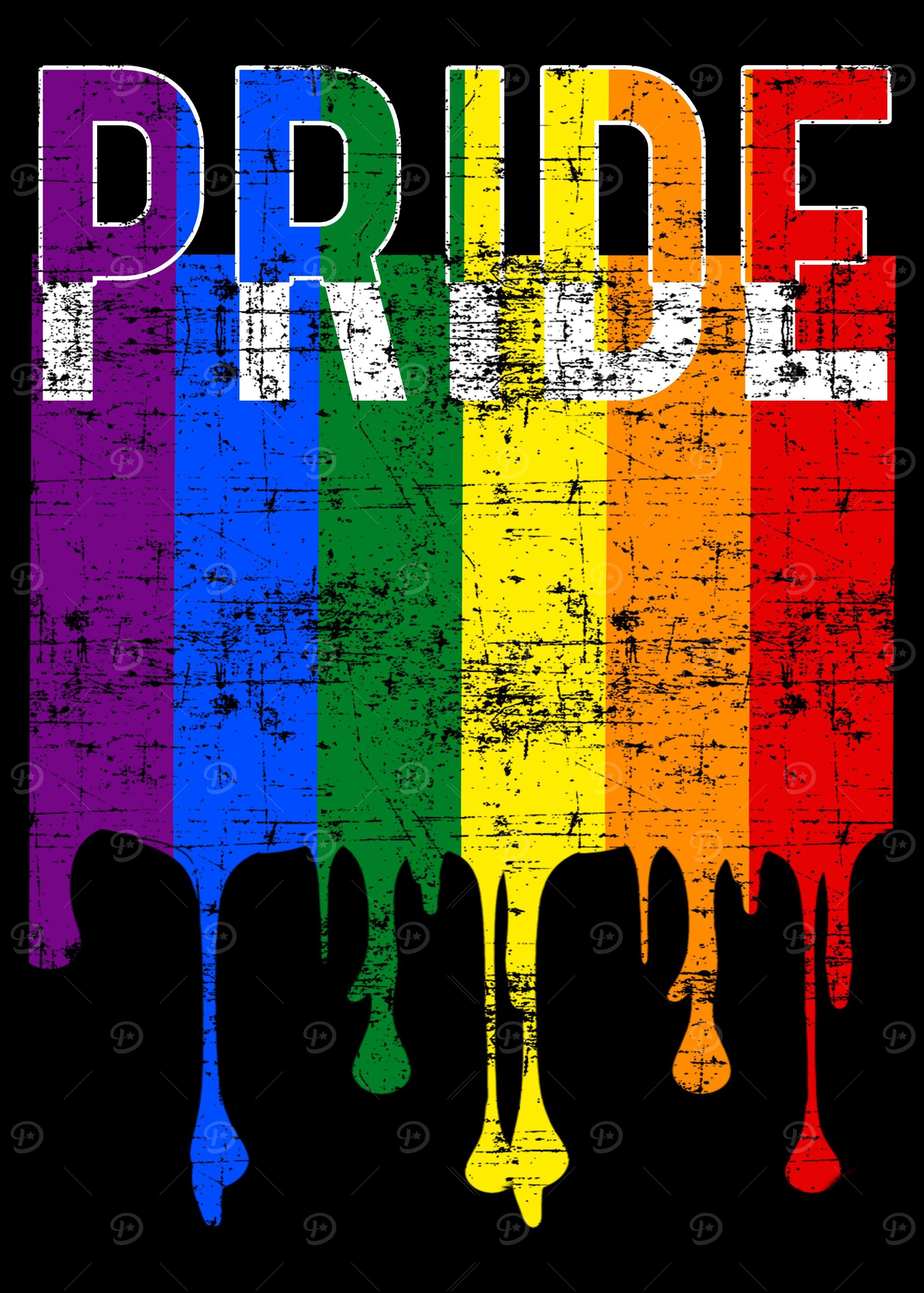 Gay Pride Rainbow Flag