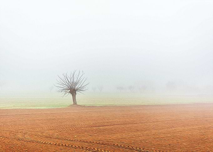 Thick fog in the Po valley