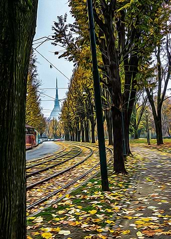 Tramway tracks in Turin