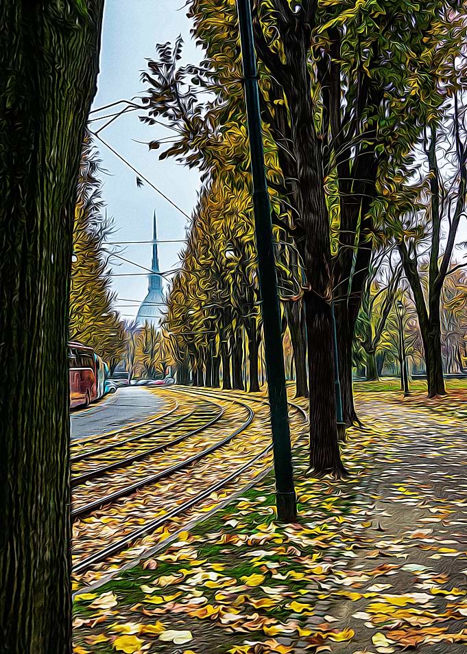 Tramway tracks in Turin
