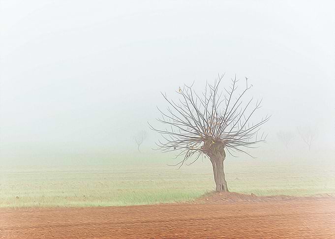 Thick fog in the Po valley