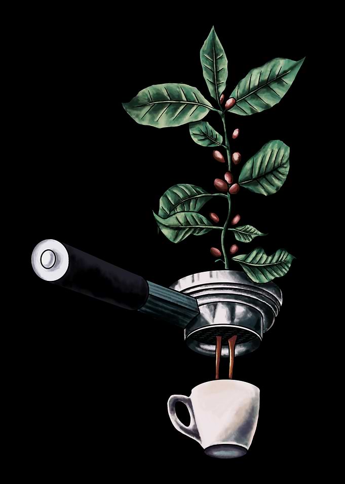 Coffee Plant Espresso