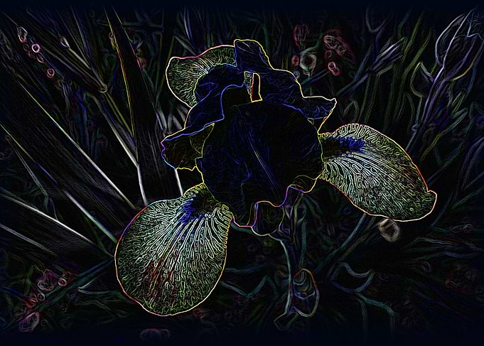 Glowing Iris