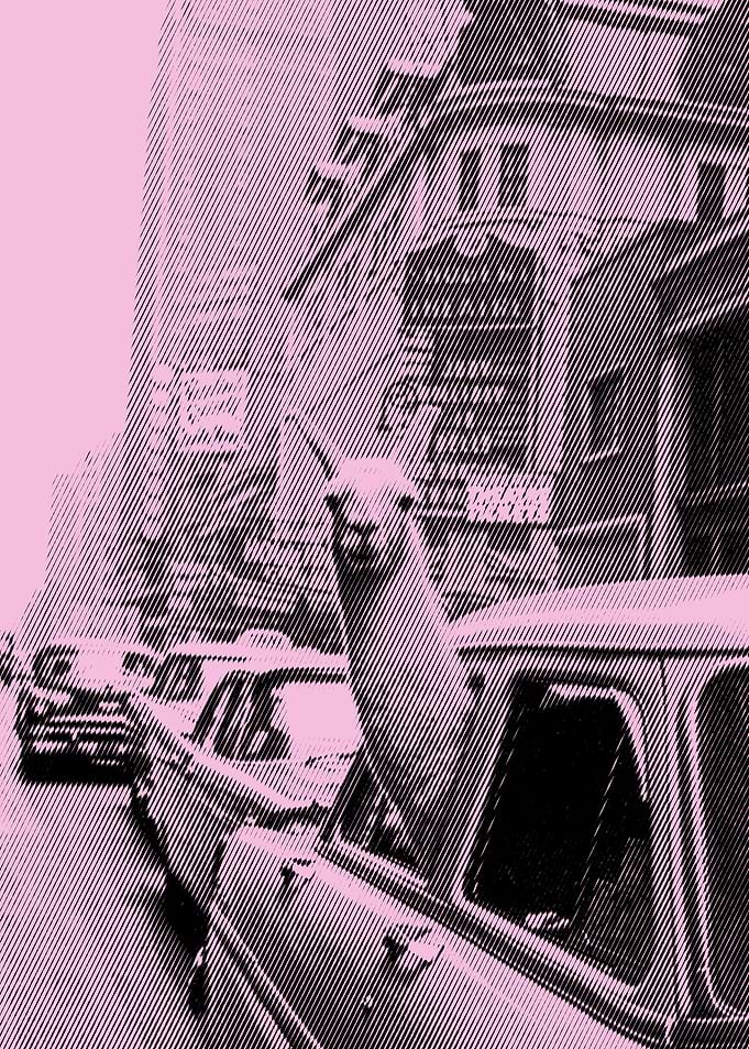 lama in taxi pink variant