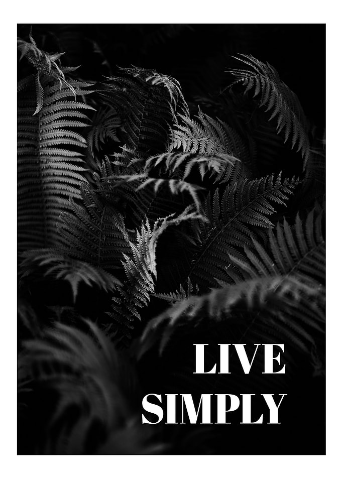 Live simply