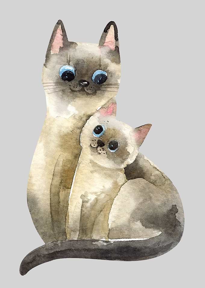 Cute cats
