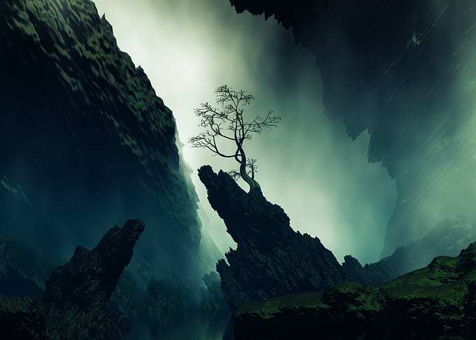 Lonely Tree