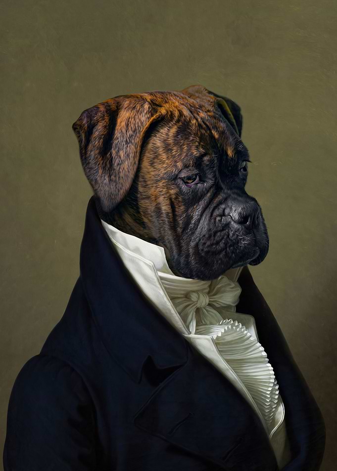 The Ambassador