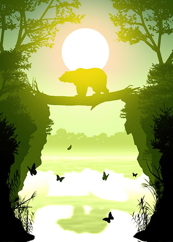 Bear