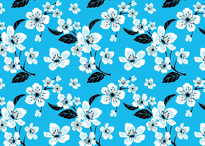 Blue White Sakura Cherry