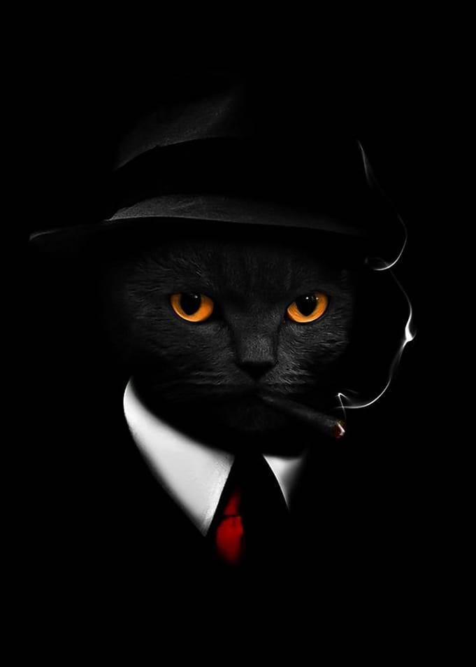 Mafia cat
