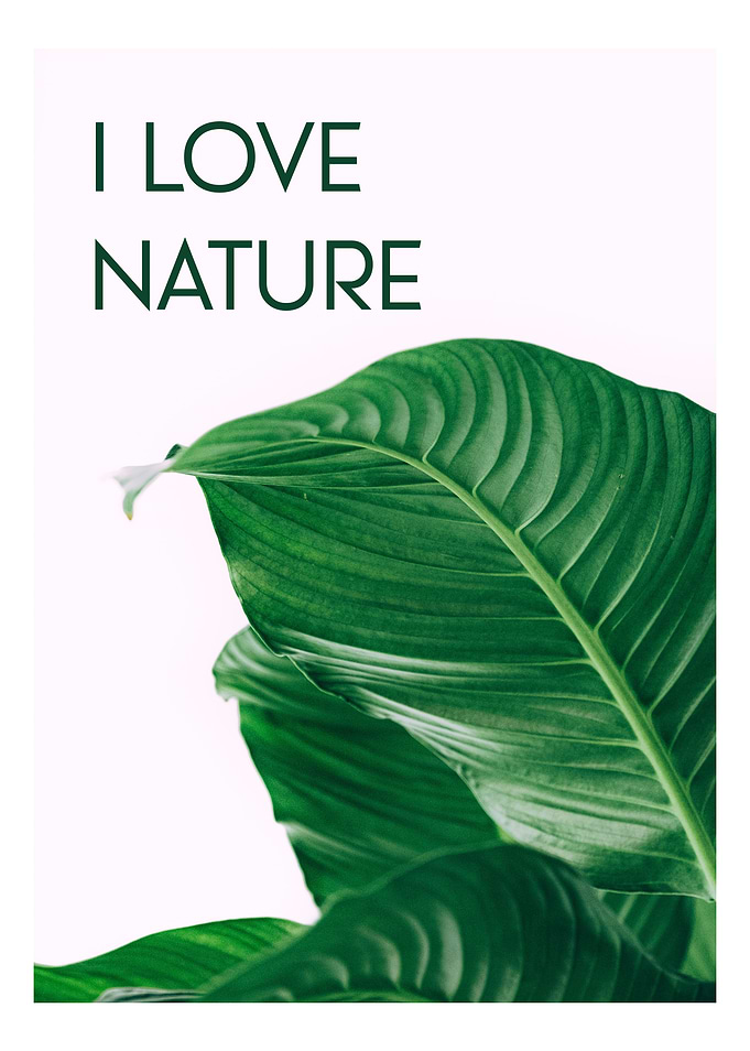 i love nature