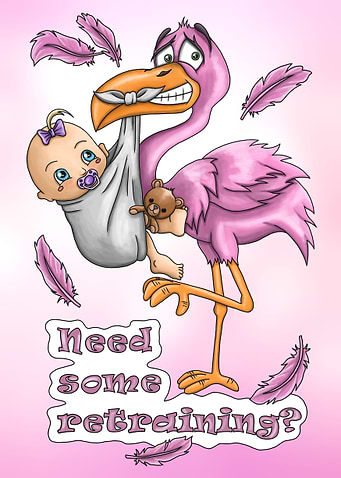 Flamingo retraining