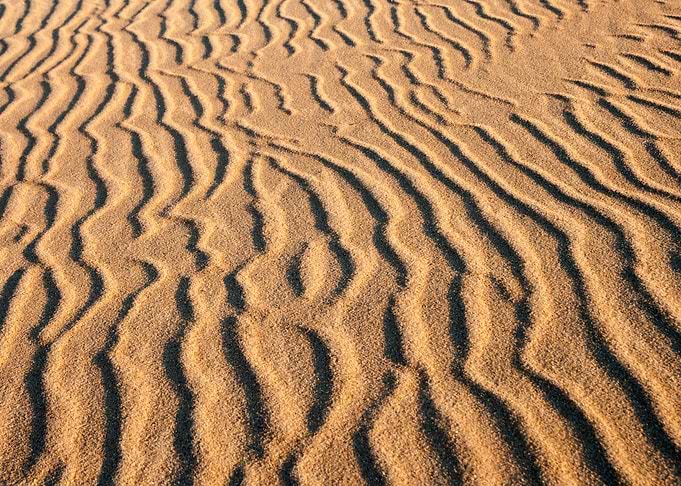 Sand Tree Clear Remote Sto