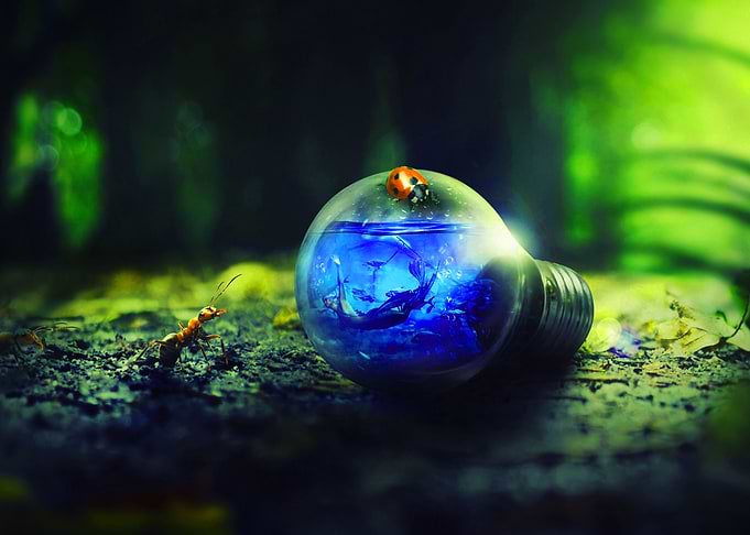 Fantasy Picture