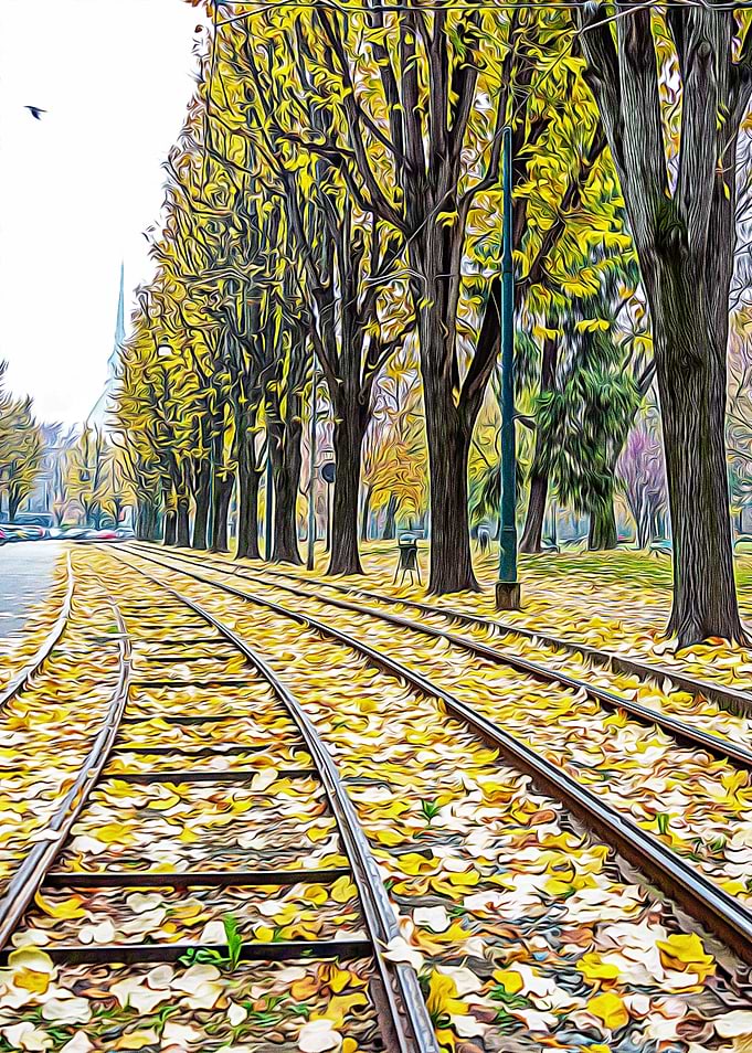 Tramway tracks in Turin
