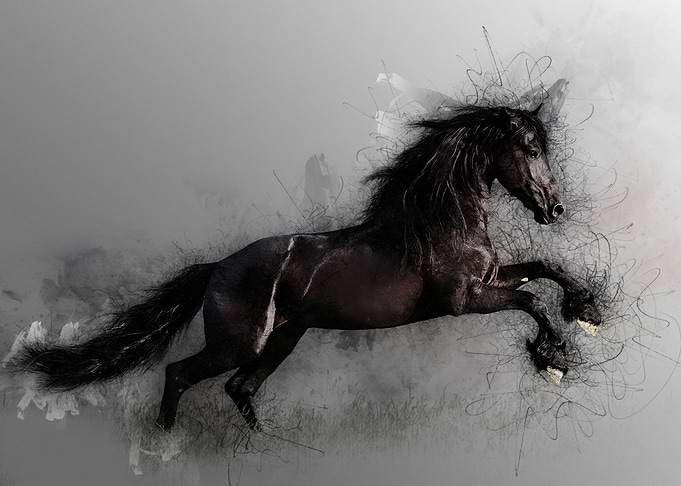 The horse