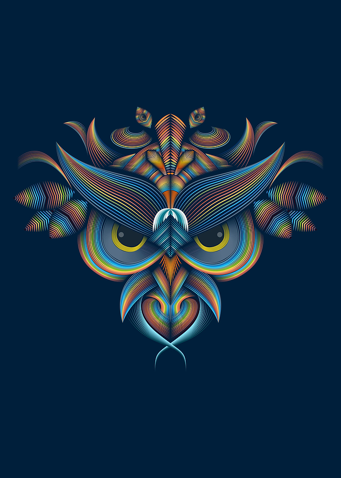 Colorful Owl Line Art