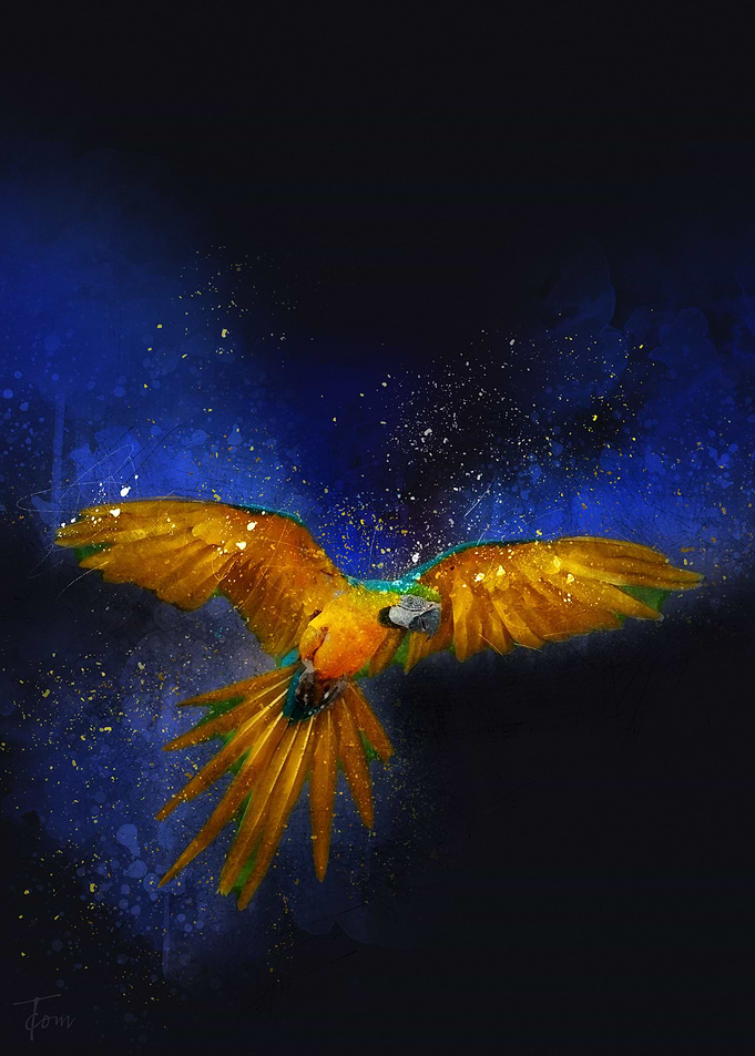 Parrot