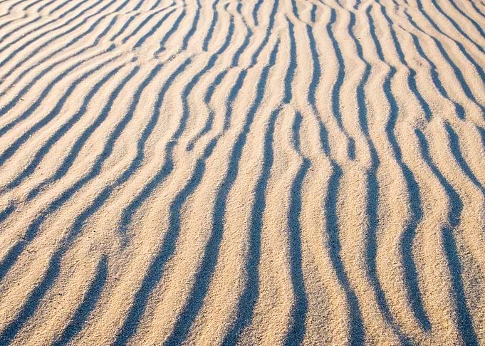 Sea Dry Hot Park Sand Dune