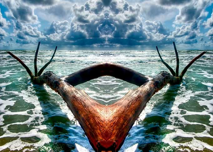 tree trunk in the waves