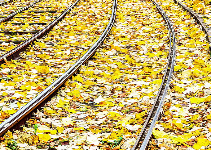 Tramway tracks in Turin