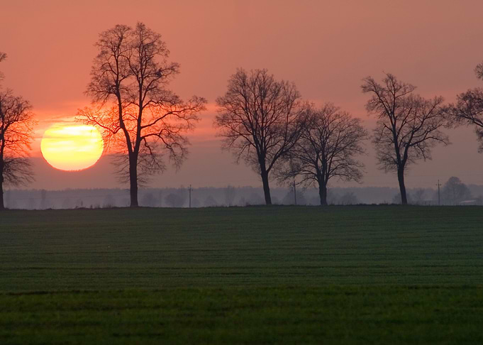 Day Sun Set Hot Red Sky Tr