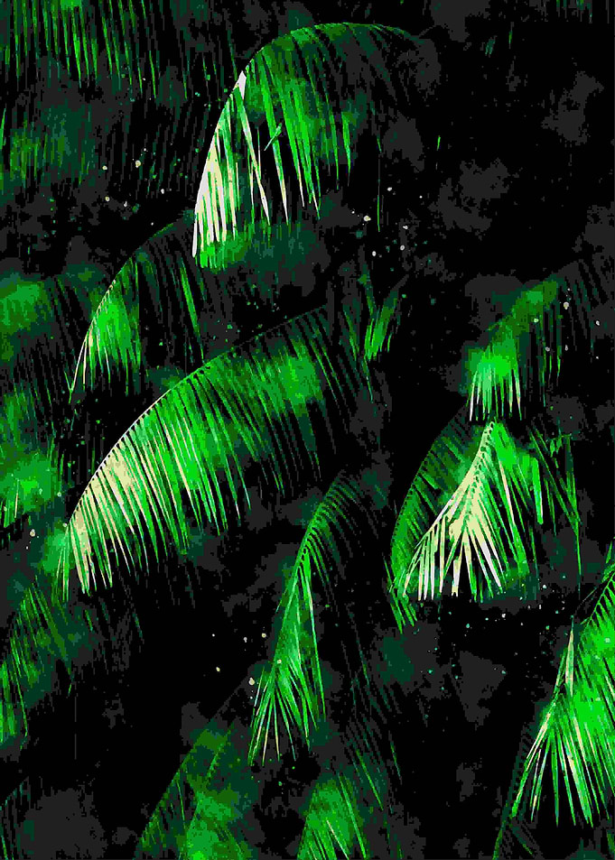 Tropical Palm Forrest
