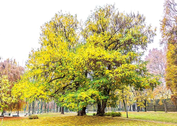 Turin in the autumn