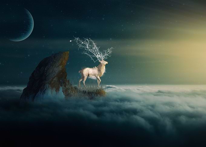 Cerf Volant